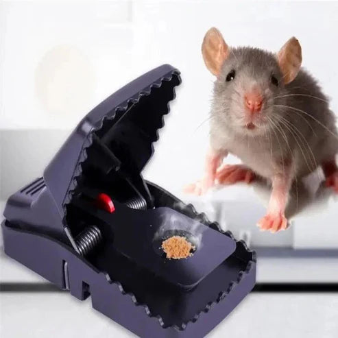 Mouse Trap