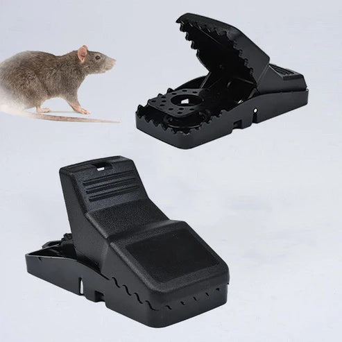 Mouse Trap
